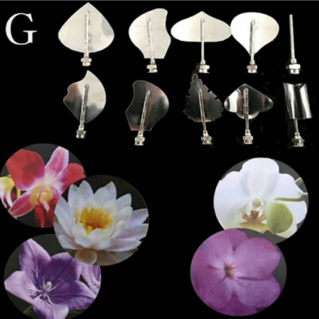 Jelly art tools