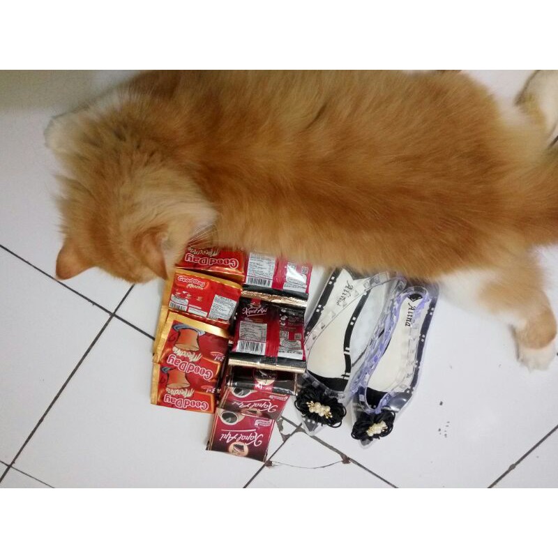 CHECKOUT 10K BONUS OYEN