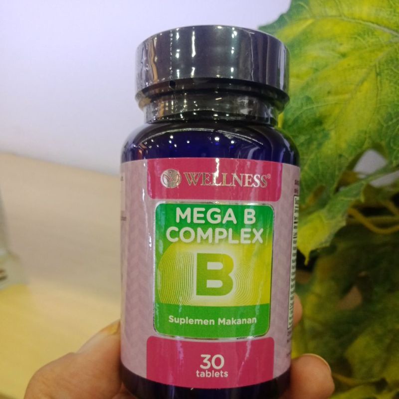 Wellnes Mega B Complex 30 Tablet
