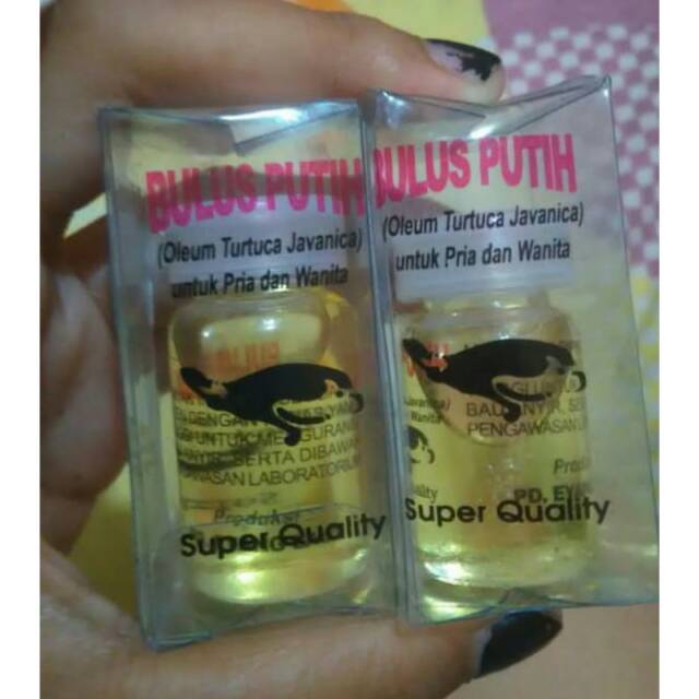 Minyak Bulus Putih