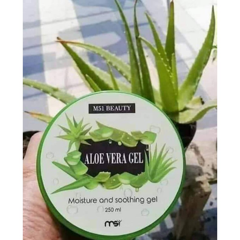 aloevera gel msi