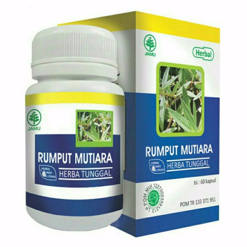 HIU Rumput Mutiara