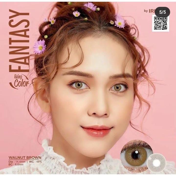 FANTASY WALNUT BROWN (NORMAL S/D -6.00)