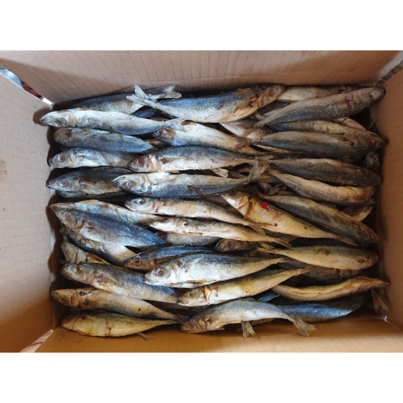 Ikan Asin Layang