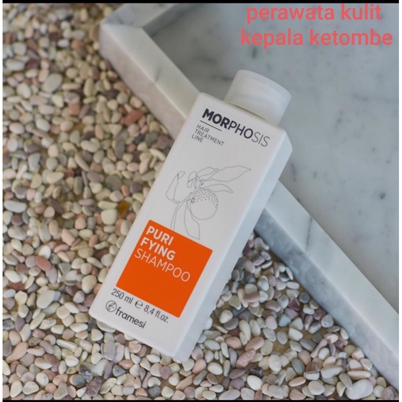 Framesi Purifying Shampoo