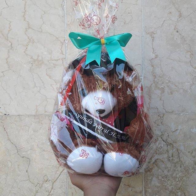 READY BONEKA WISUDA TEDDY BEAR
