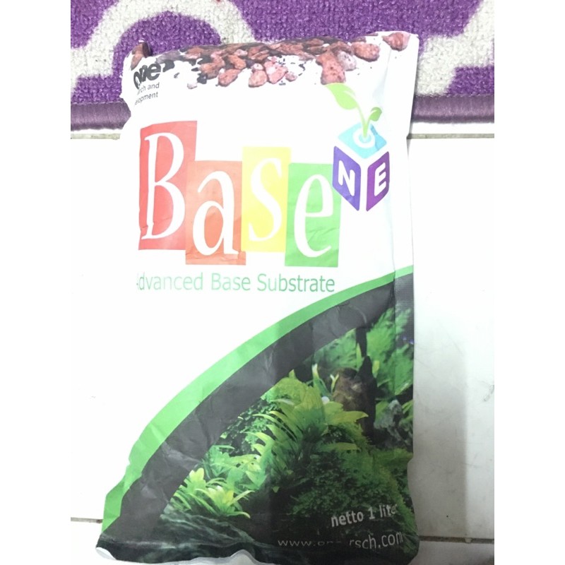 Baseone Base one