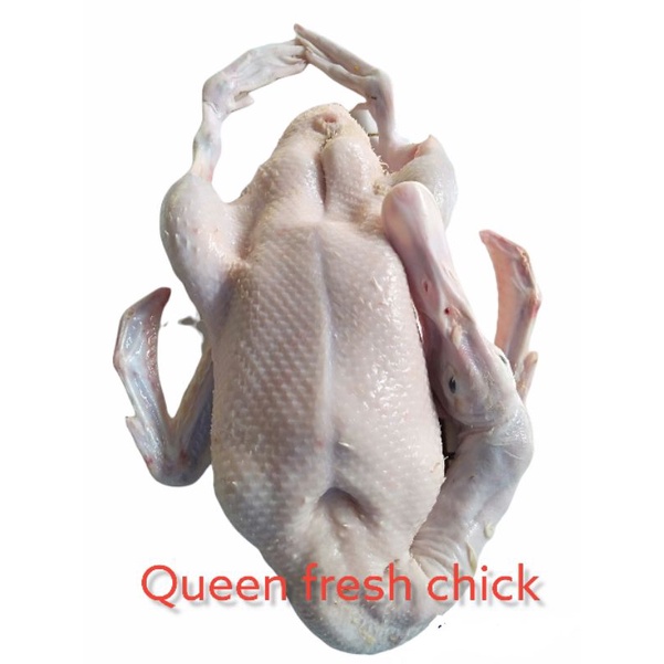 BEBEK POTONG FRESH