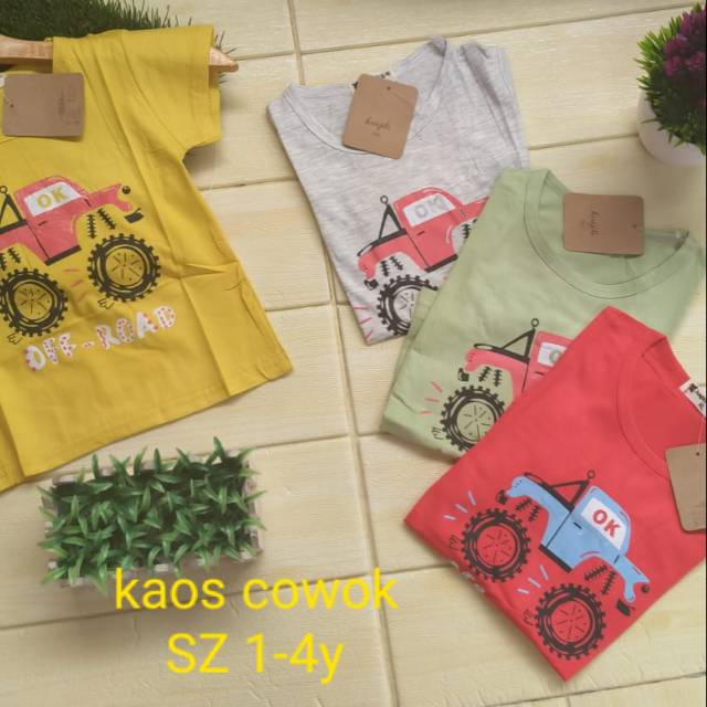 Kaos cowok import