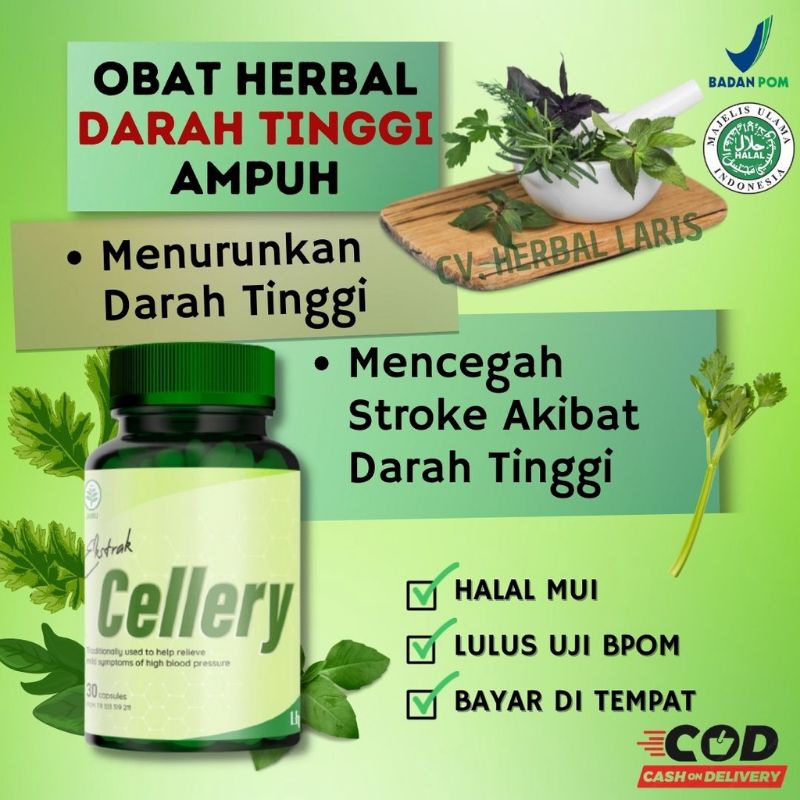 Obat herbal darah tinggi E cellery