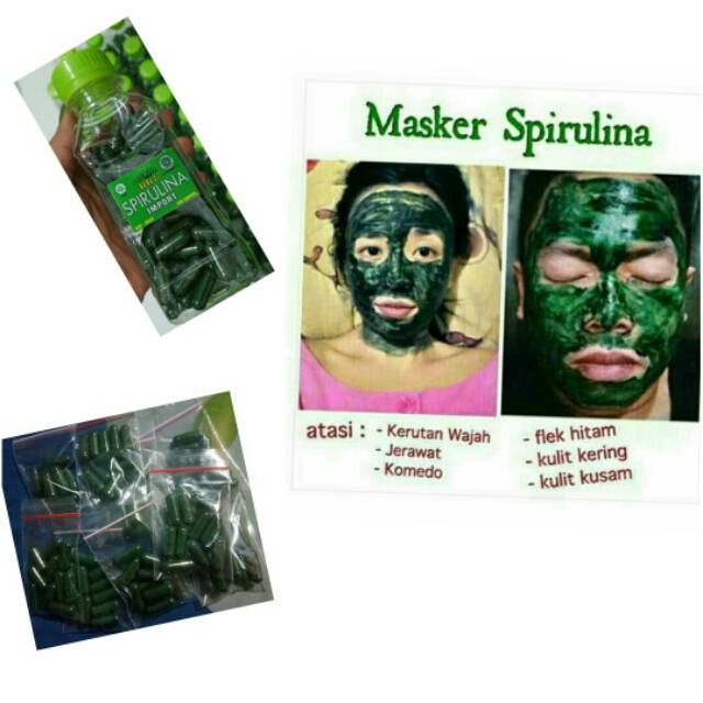 Masker spirulina organik