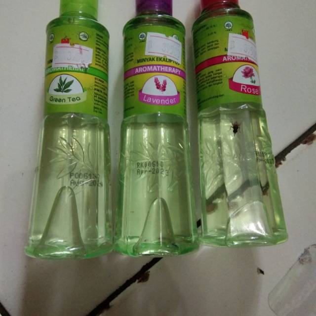 Kayu putih cap lang