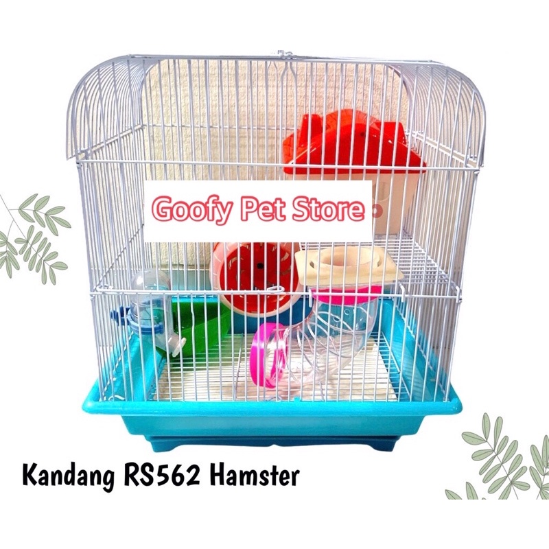 kandang Hamster