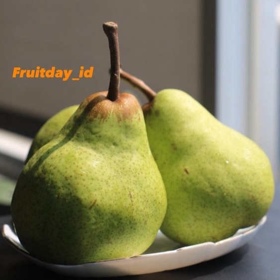 Pear Packham Australia