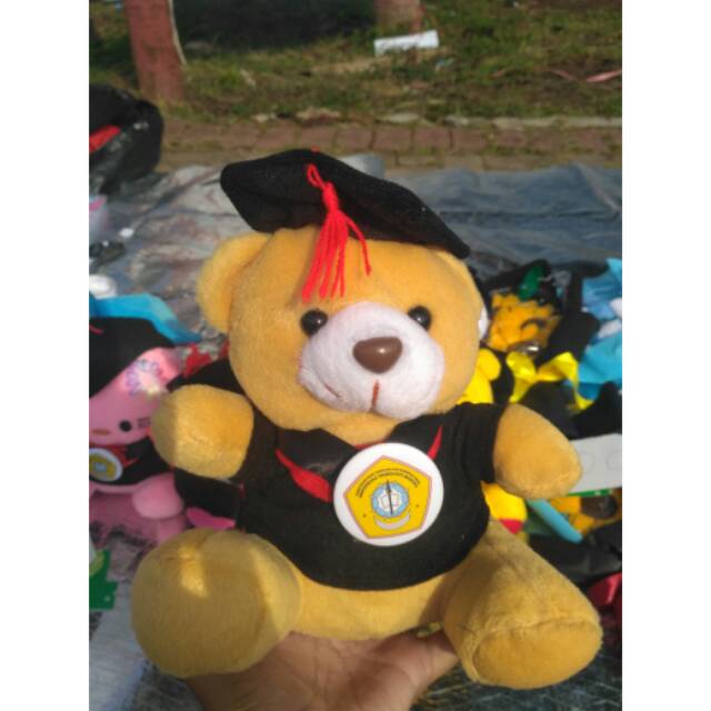 Boneka Wisuda Murah SNI