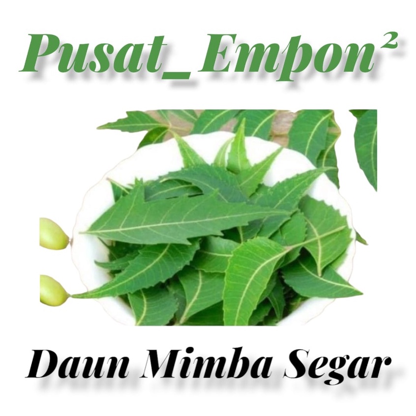 Daun mimba segar 500 gram daun neem