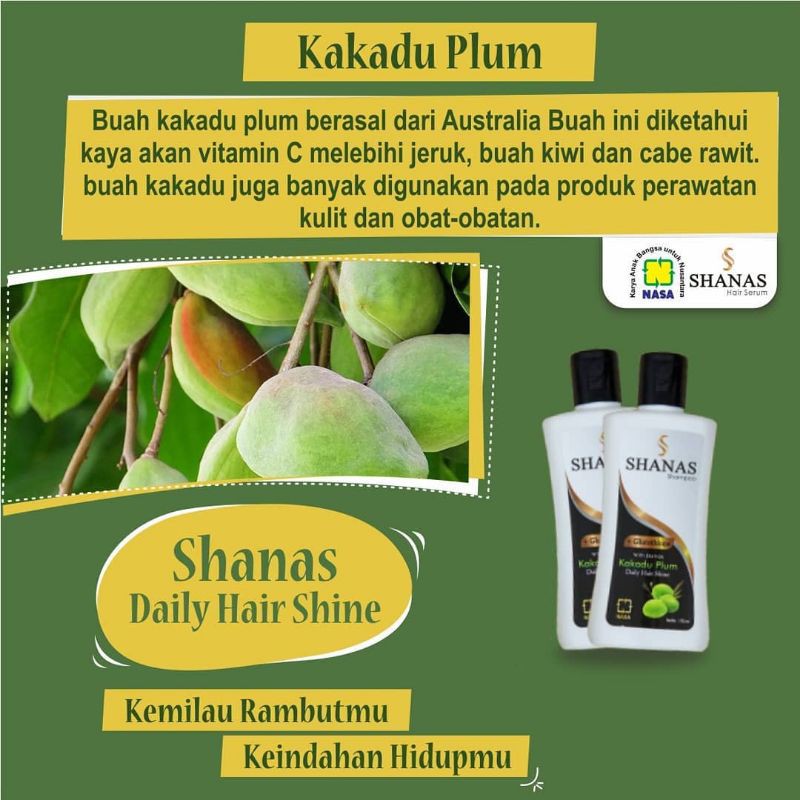 shanas perawatan rambut