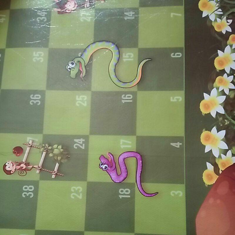 karpet
