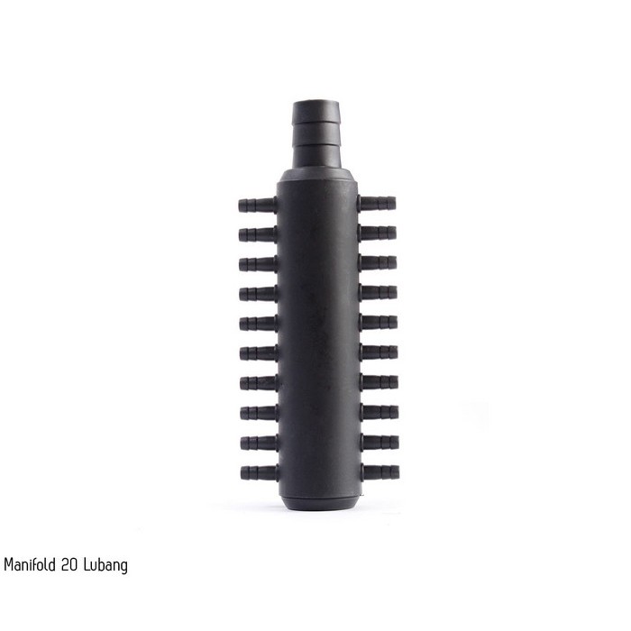 Manifold 20 Lubang