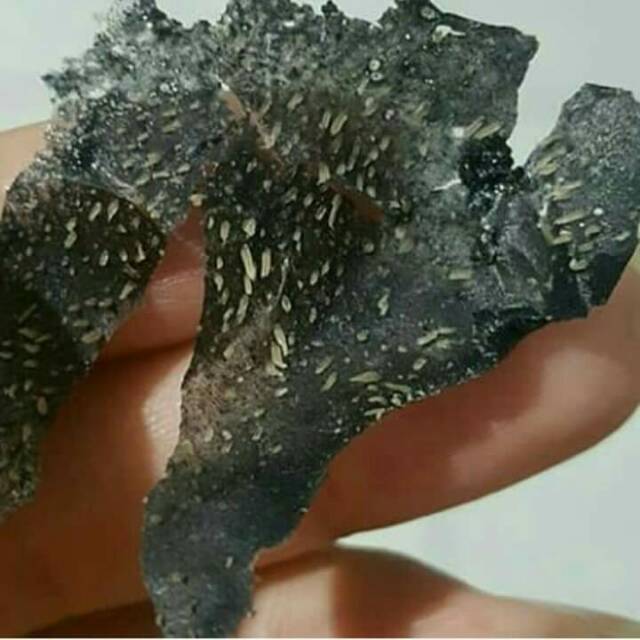Gelatin charcoal