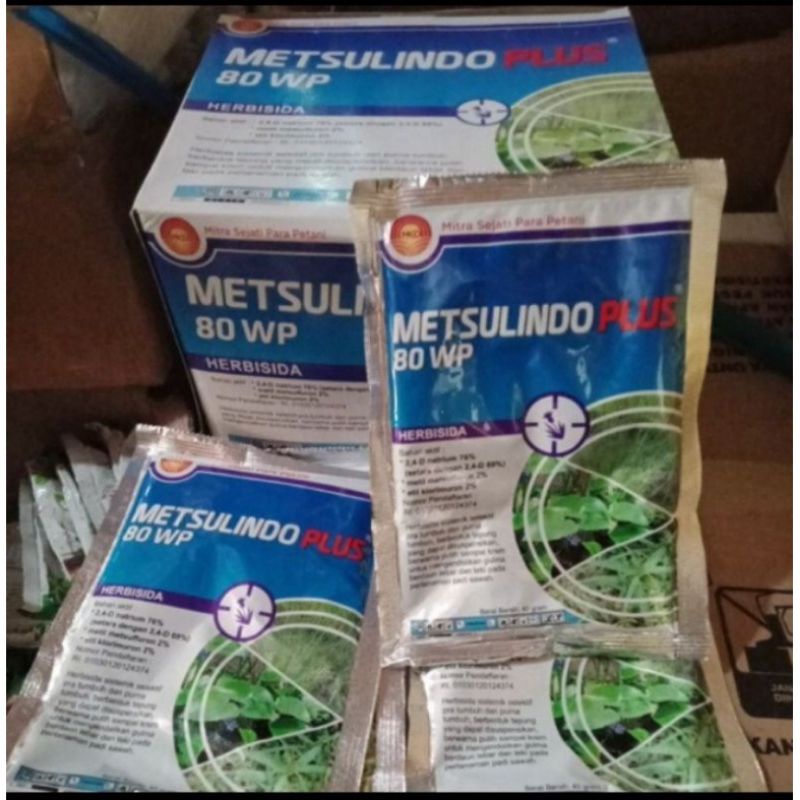 Metsulindoplus pengendali gulma