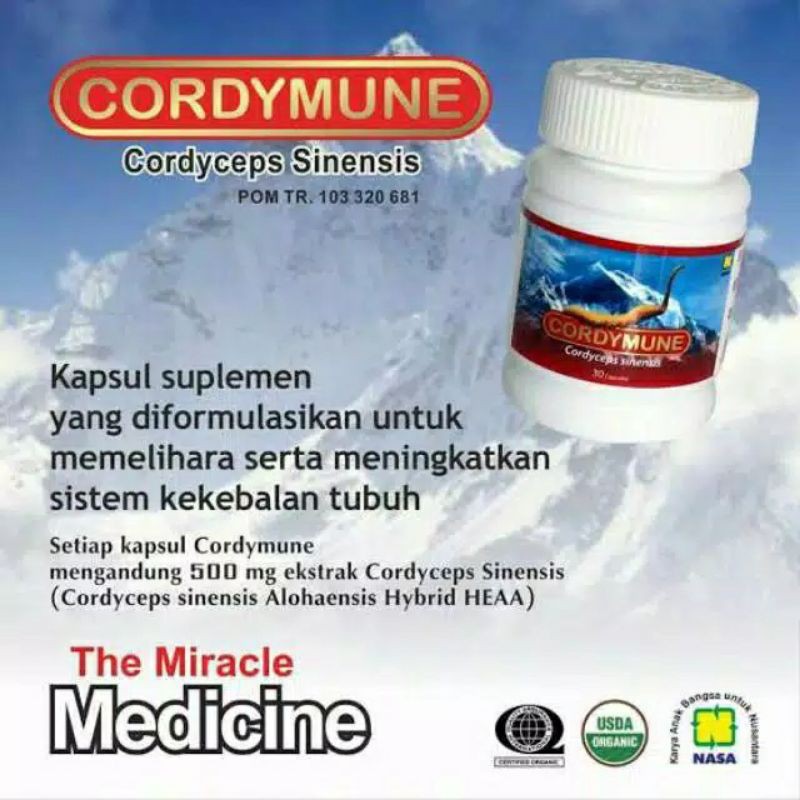 CORDYMUNE - OBAT KAPSUL - KAPSUL SUPLEMEN