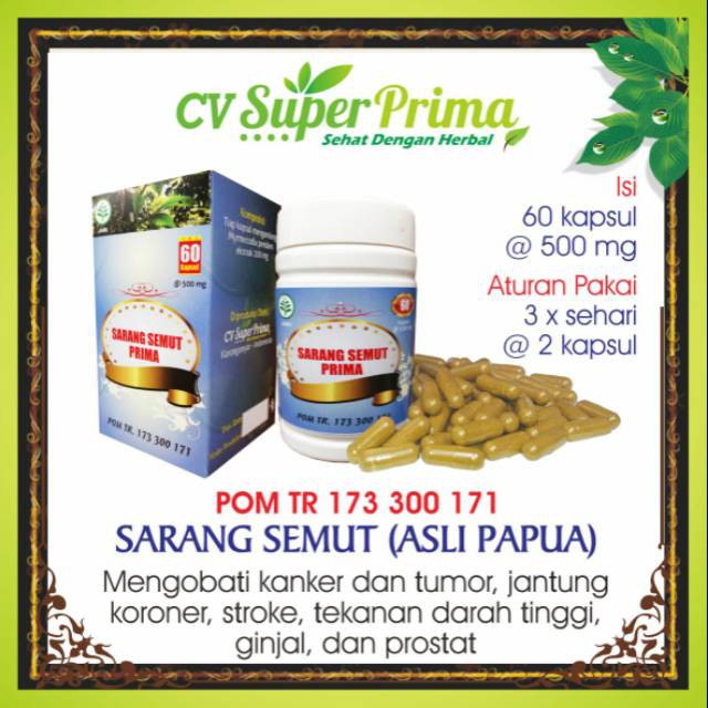 Herbal Kapsul Sarang Semut Alami