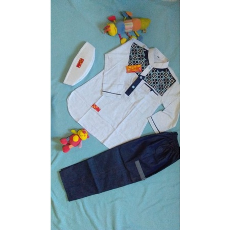 AMRCollection