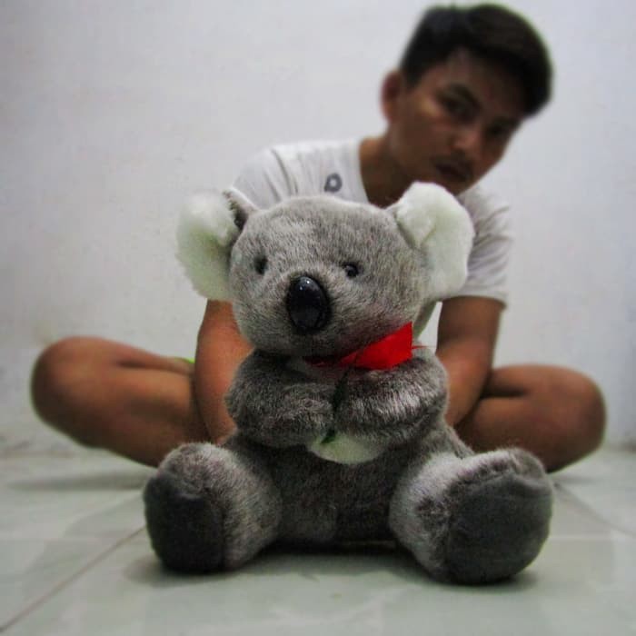 barokah boneka koala makan daun