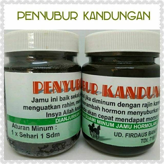 PENYUBUR KANDUNGAN