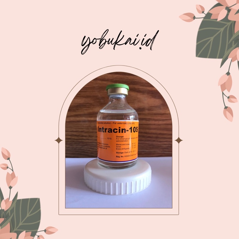 Intracin-10S 50ml