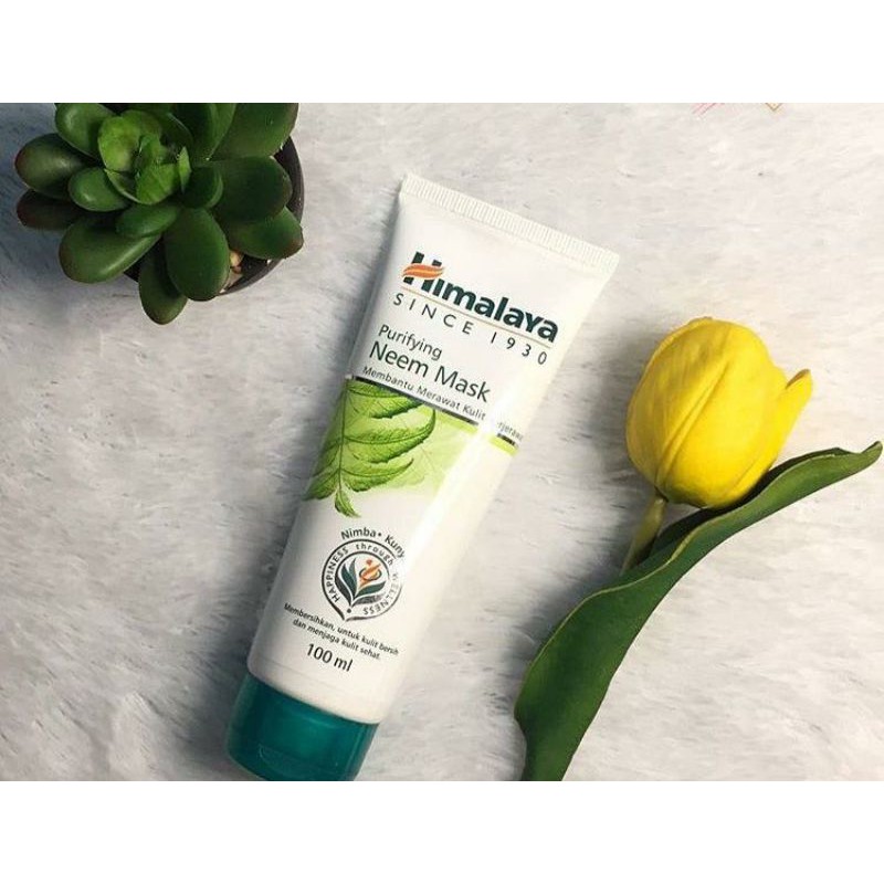 Himalayan neem mask