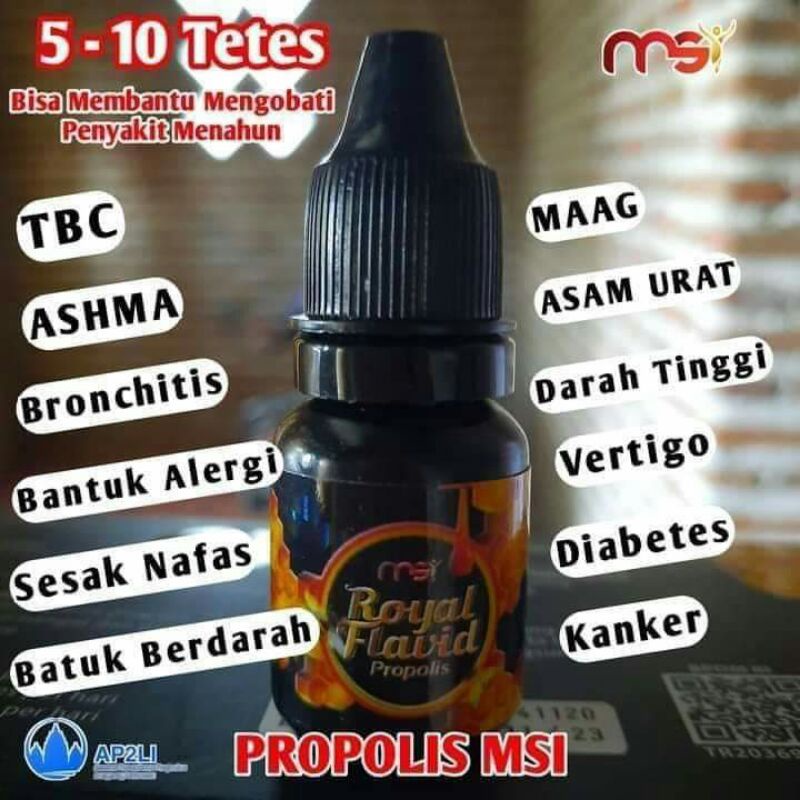 PROPOLIS MSI