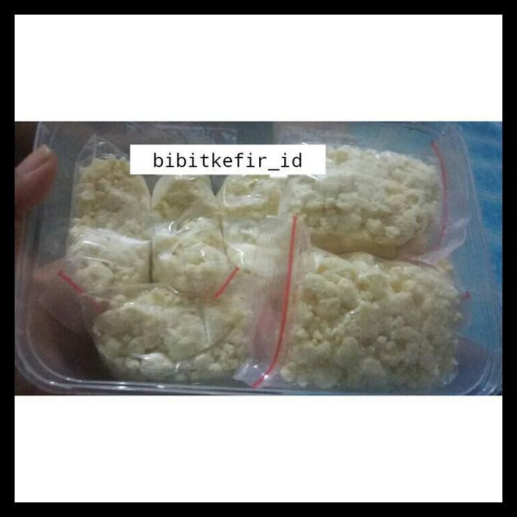 Bibit Kefir 50 Gram