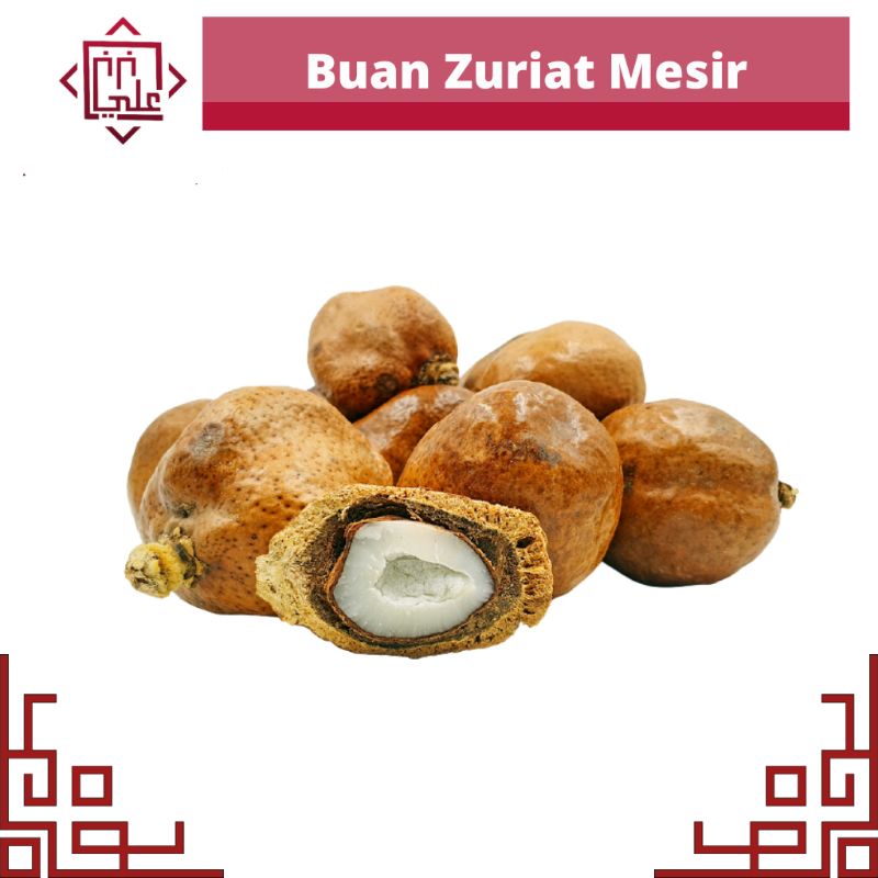 Buah Zuriat Mesir