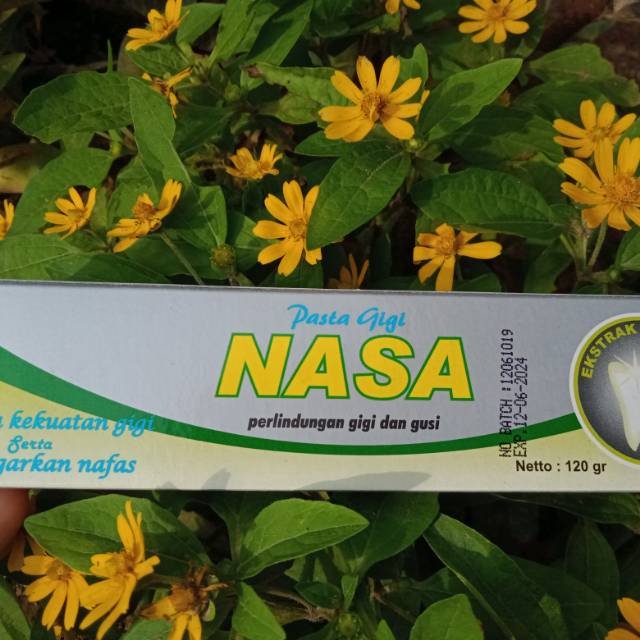 Pasta Gigi Nasa