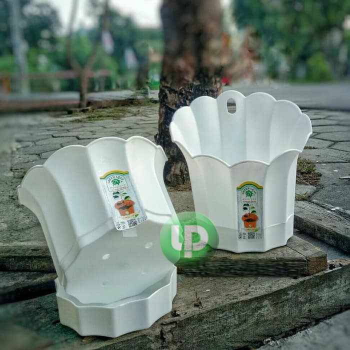 POT DINDING AQUILE WARNA