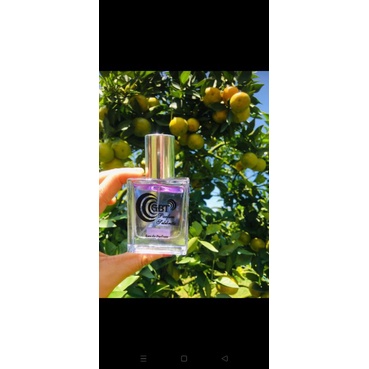 GBT (Parfum Selebritis)