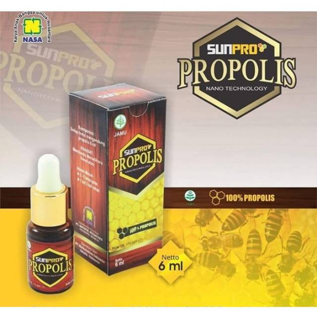 SUNPRO PORPOLIS NASA