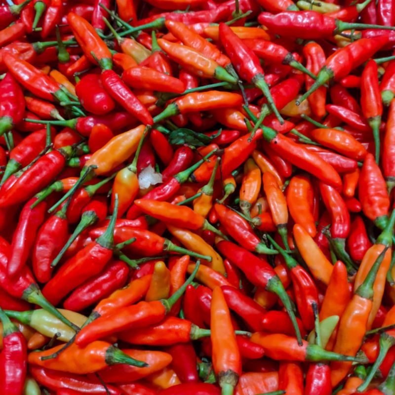 cabe rawit merah 250gram