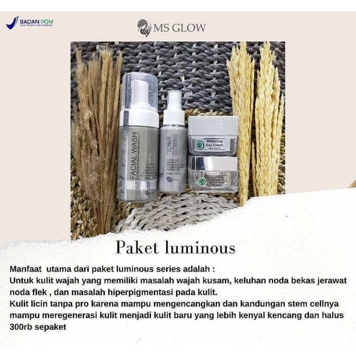 MS GLOW LUMINOUS SERIES