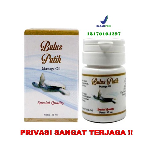 MINYAK BULUS GO