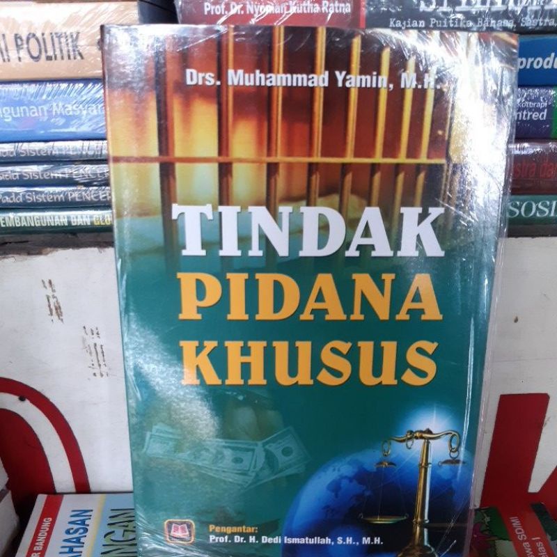 tindak pidana khusus
