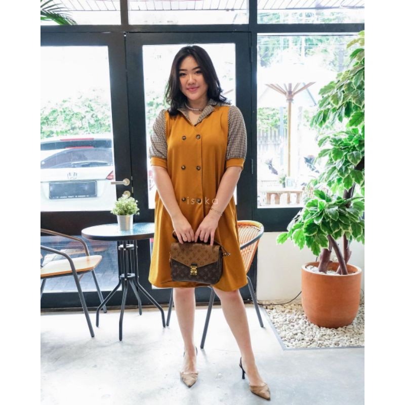Juniper Dress (Busui Friendly)