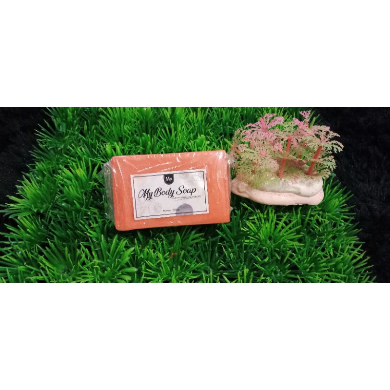 my body soap