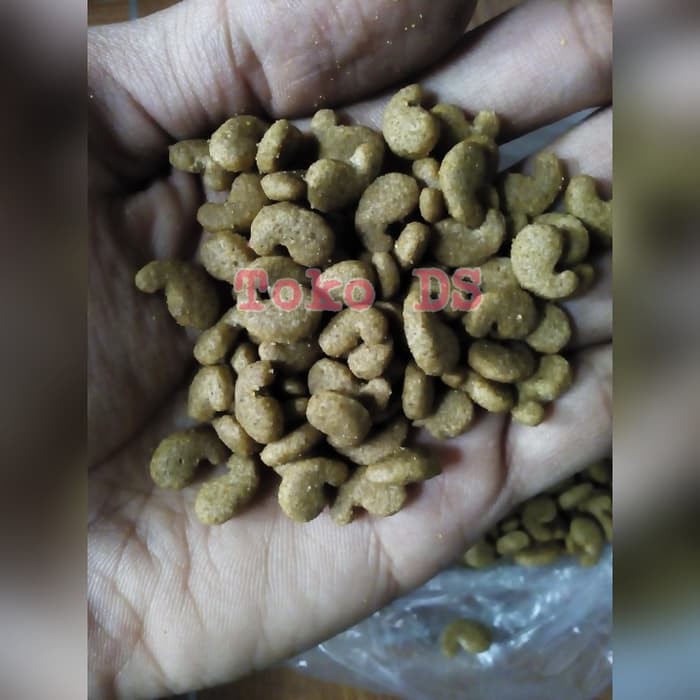 Makanan Kucing Cat Food Universal