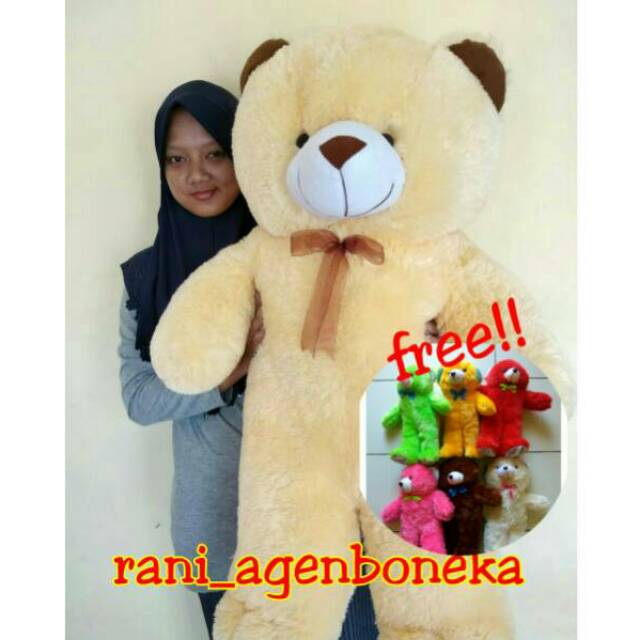 ( FREE BONEKA MINI ) TEDDY BEAR JUMBO 80cm
