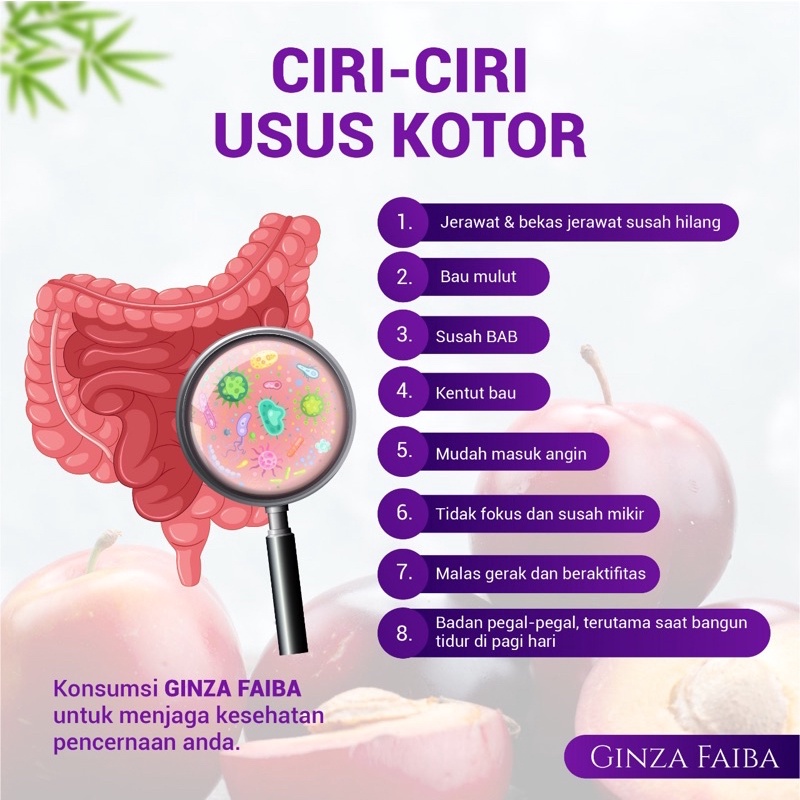 GINZA FAIBA BUNDLE 5 BOX