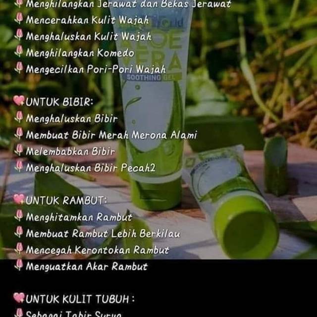 Natura aloevera