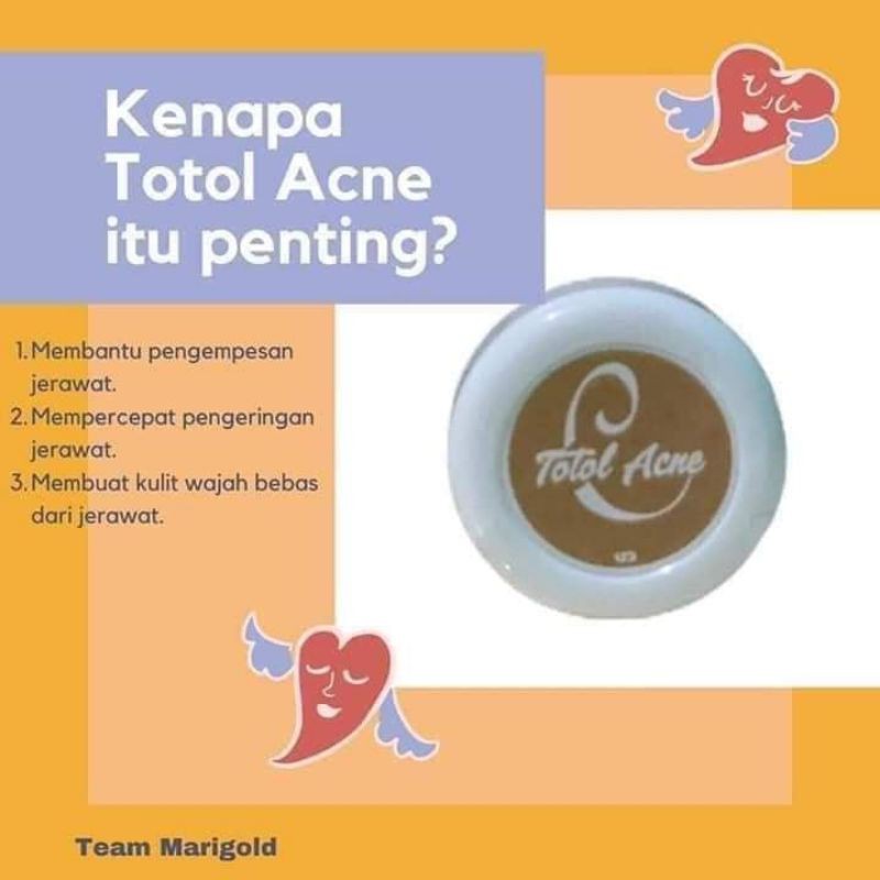 TOTOL ACNE SUPER AMPUH (COD)